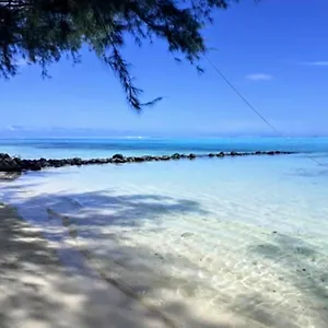 Moorea - Local Spirit 6 Hébergement de vacances Hauru